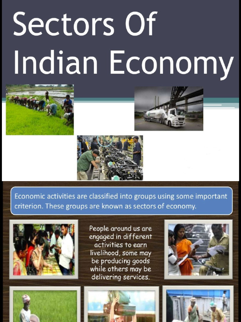 CH 2 Sectors of The Indian Economy | PDF