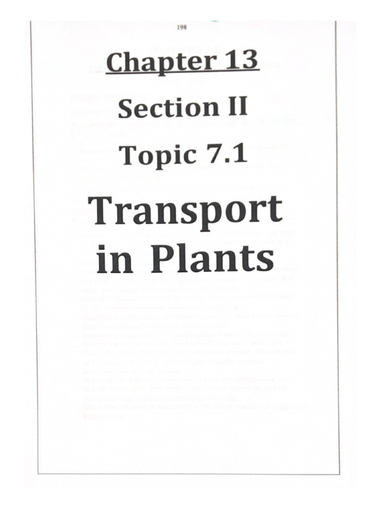 Chapter 13 | PDF