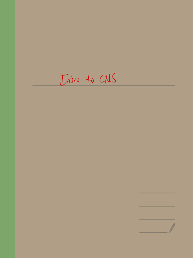 Overview of CNS Channels and Receptors | PDF | Neurotransmitter ...