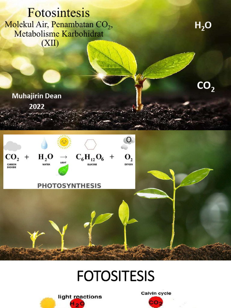 CO2 Dan H2O | PDF