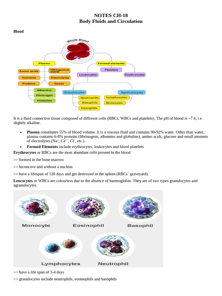Blood and Circulatory System Overview | PDF | Heart | Diastole