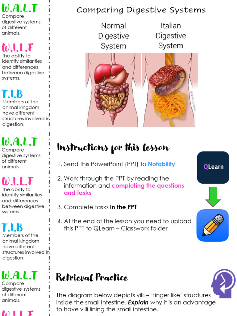 Compare Animal Digestive Systems | PDF | Digestion | Foods