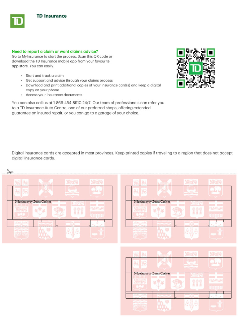 Carte d'assurance automobile TD 2024 | PDF | Droit des affaires ...