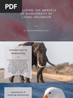 Pavlinov I Ya Ed Research in Biodiversity Models and Applica