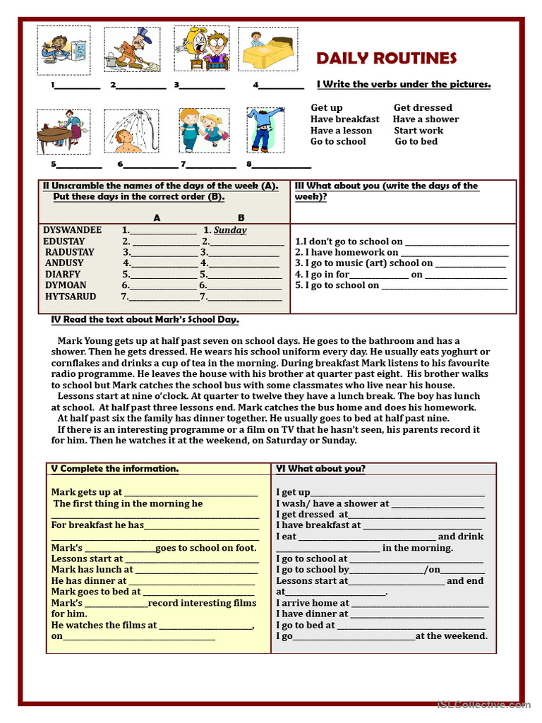 Daily Routines | PDF | Lunch