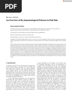 Fish Immune System and Vaccines | PDF | Immune System | Antibody