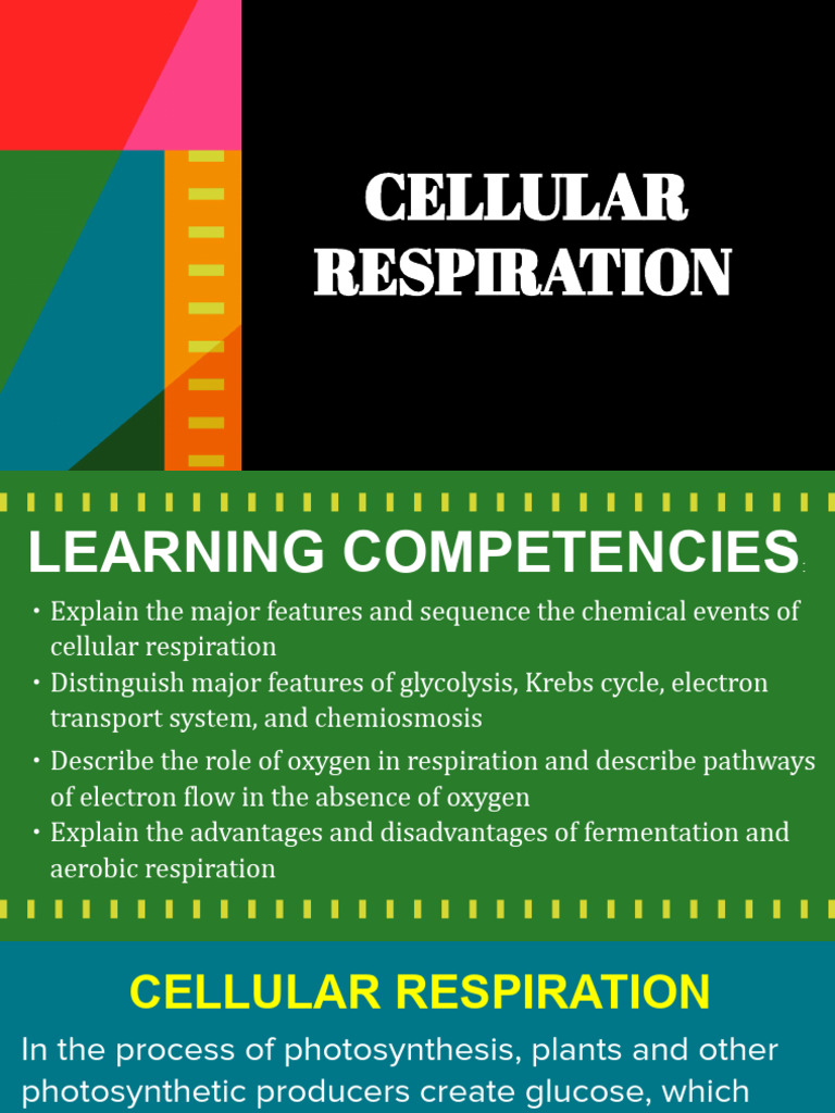 Overview of Cellular Respiration Processes | PDF | Cellular Respiration ...