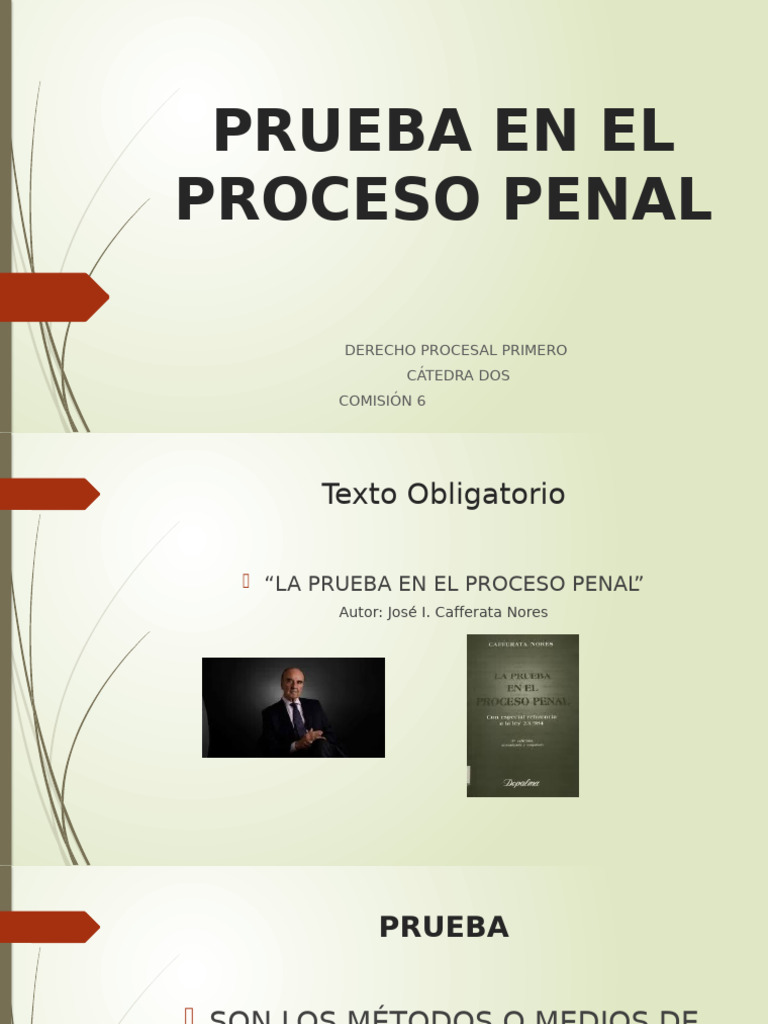 Prueba en El Proceso Penal | PDF | Evidencia (ley) | Justicia