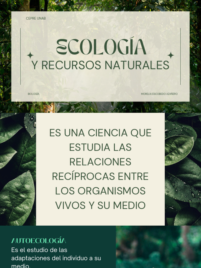 Ecología y Recursos Naturales: Conceptos Clave | PDF | Ecología ...