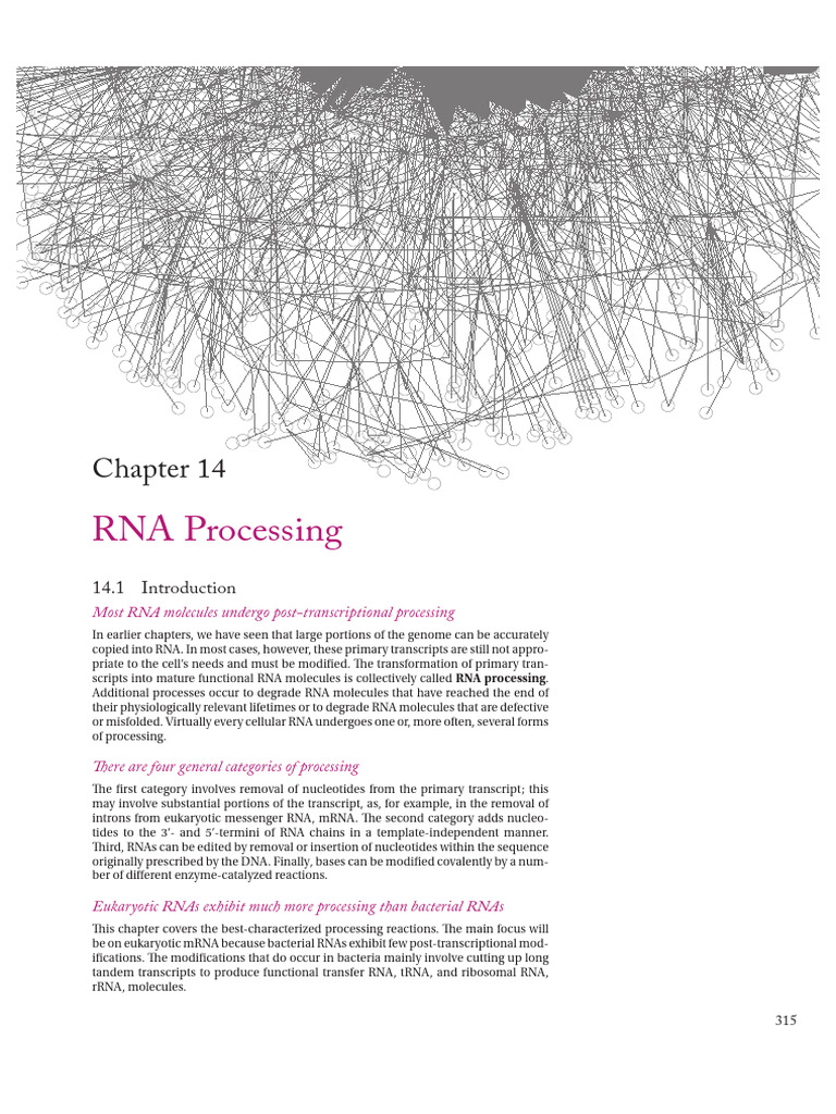 RNA Processing and Splicing Mechanisms | PDF | Messenger Rna | Rna Splicing