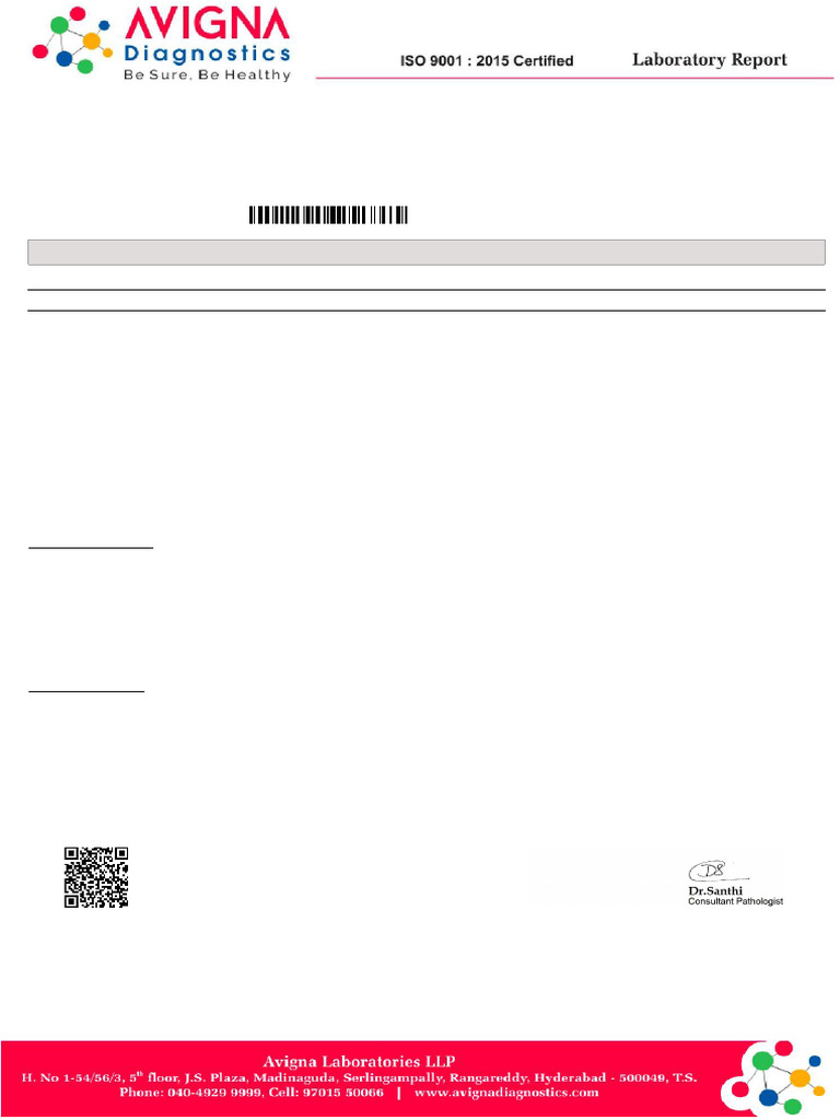 Mr. M Ramesh's Comprehensive Lab Report | PDF | Glycated Hemoglobin ...