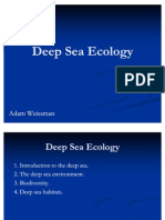 אקולוגיה של ים עמוק 20111