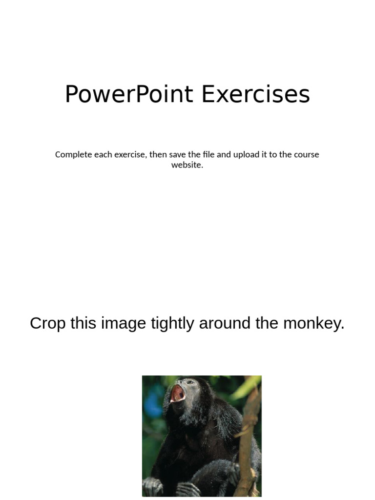 PowerPoint Design Exercises Guide | PDF