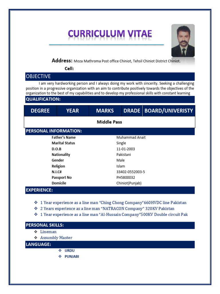 Mohsin Hassan Mathroma CV | PDF