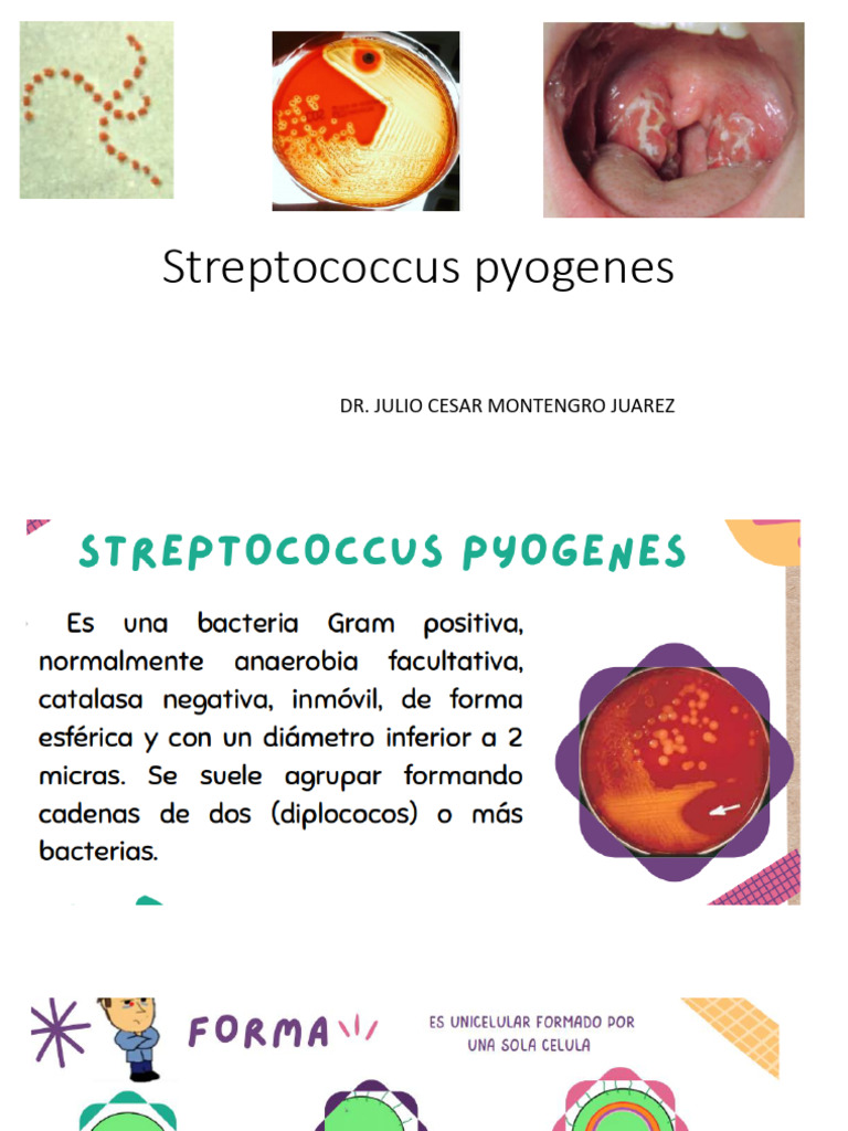 Características de Streptococcus pyogenes | PDF