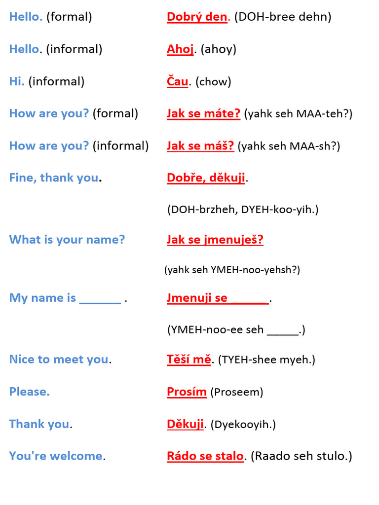 Basic Phrases | PDF