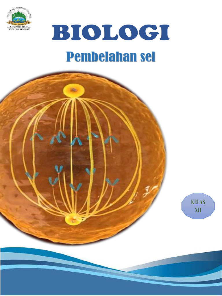 Modul Pembelahan Sel | PDF