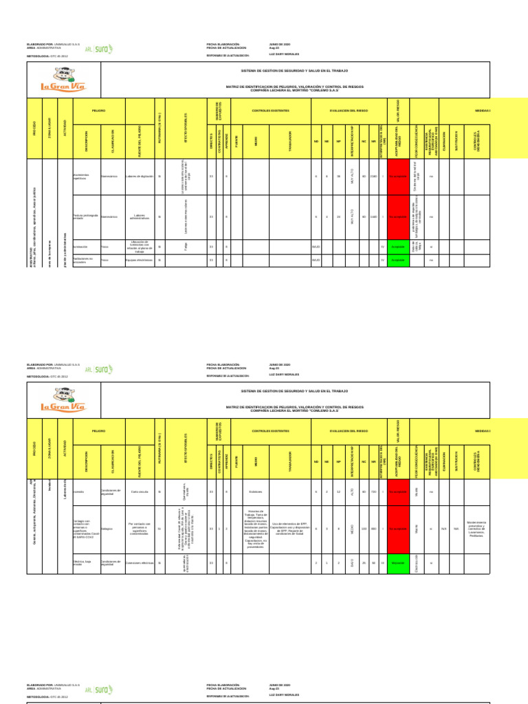 Matriz de Riesgos en Seguridad Laboral | PDF | Medicina CLINICA | Medicina