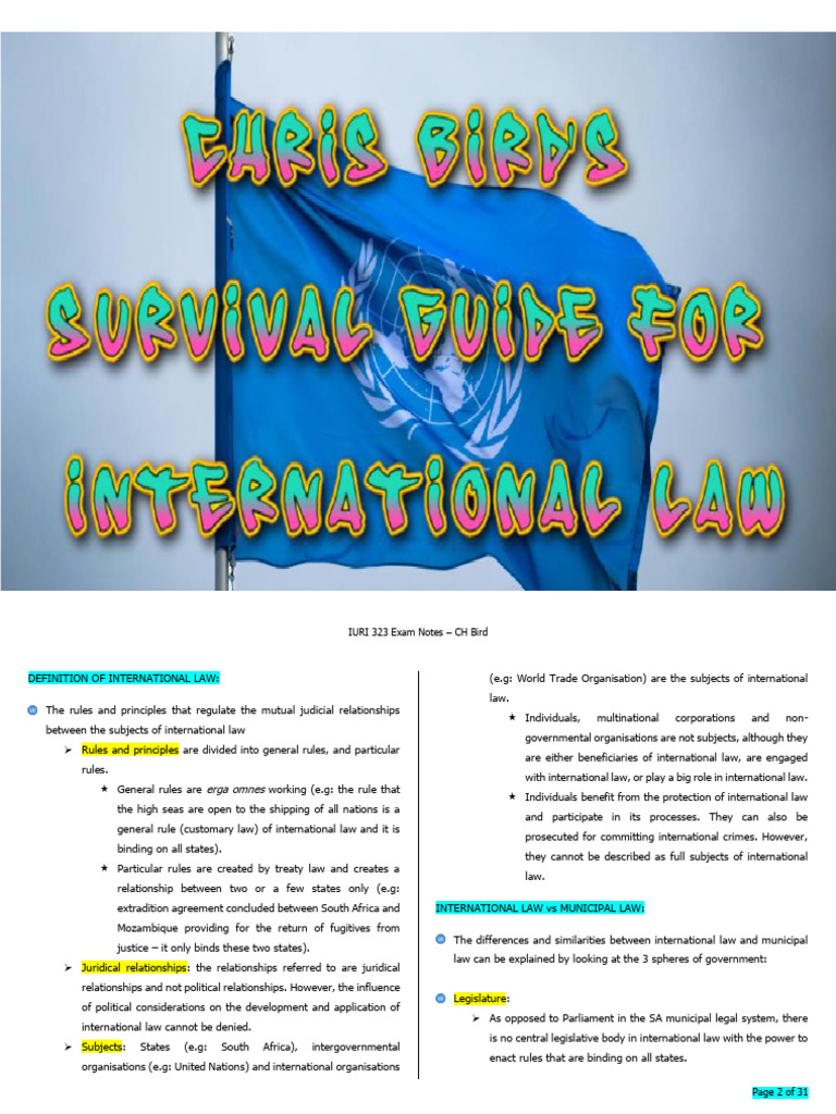 IURI 323 International Law Exam Notes | PDF | Treaty | International Law