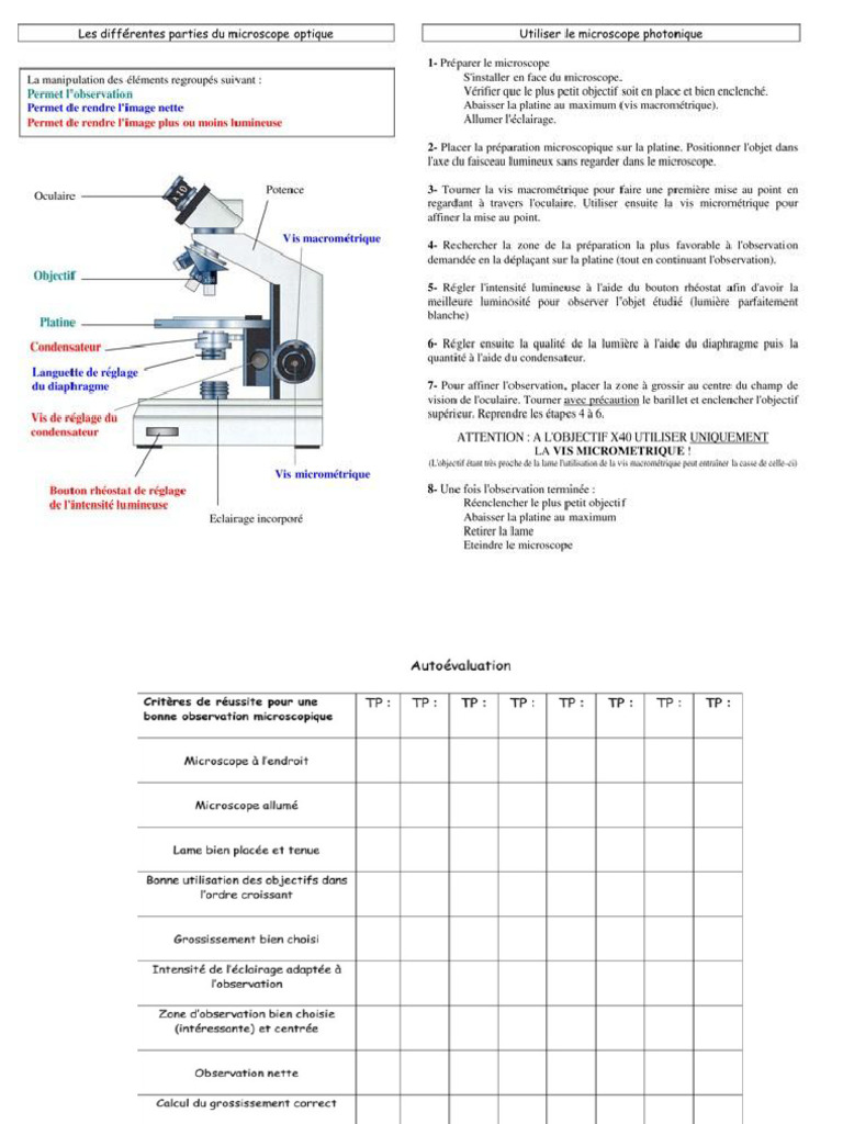 04bis-29-fiches-microscope-optique-2b-dessin-d-27observation-2-pdf