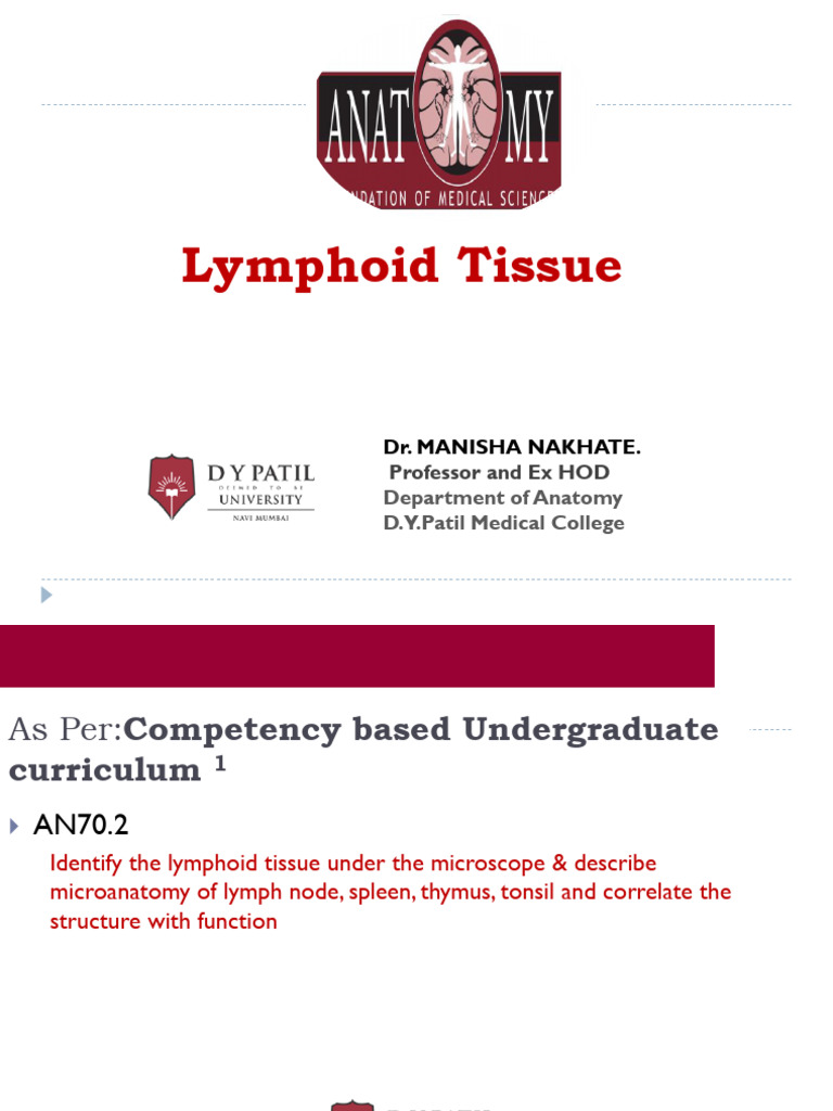 Lymphoid Tissue Microanatomy Overview | PDF | Lymph Node | Lymphatic System