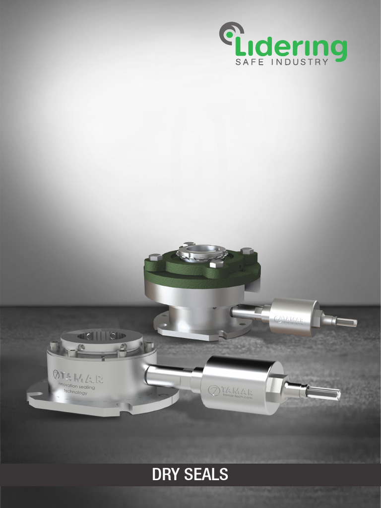 2022 05 LDR SM Catalog Dry Seals EN 1 | PDF | Bearing (Mechanical ...