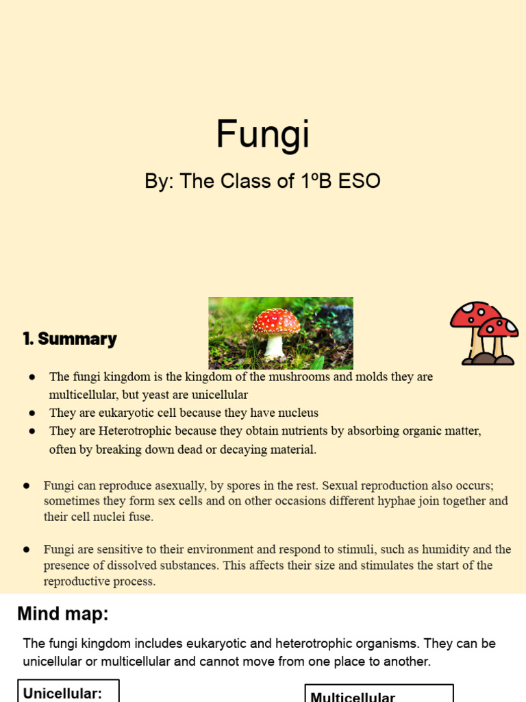 Overview of the Fungi Kingdom | PDF | Fungus | Mold