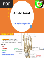Foot and Ankle Anatomy Labeling Lab | PDF | Foot | Ankle