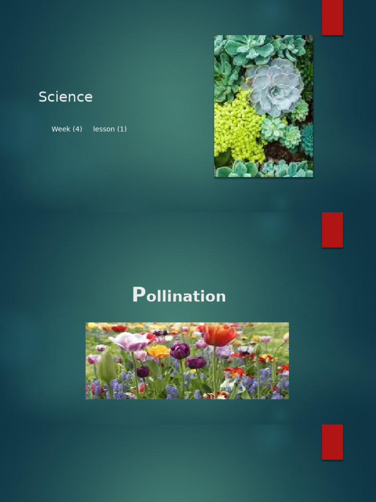 Understanding Pollination and Pollinators | PDF | Flowers | Pollination