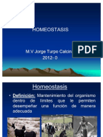 Homeostasis 12 0