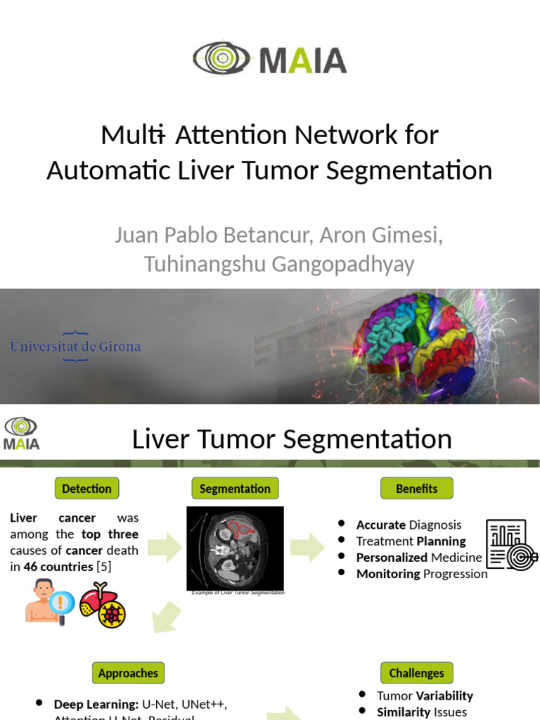 Multi Attention Network For Automatic Liver Tumor Segmentation | PDF ...