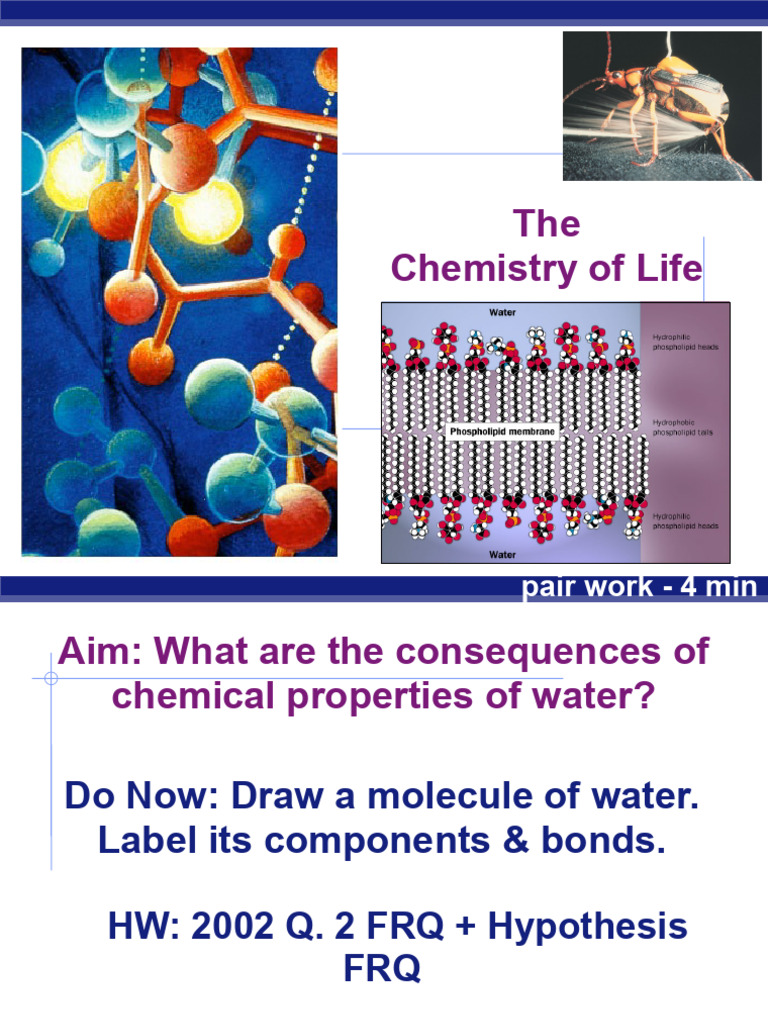Properties and Importance of Water in Biology | PDF | Properties Of ...
