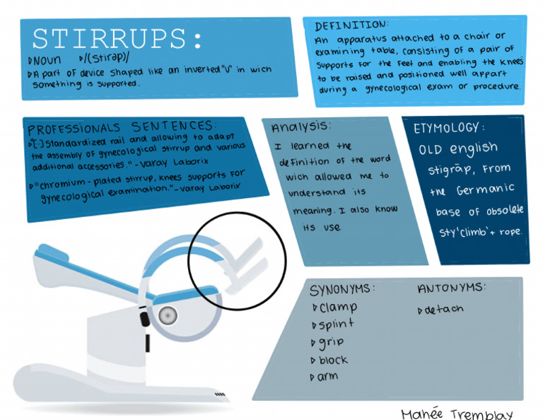 Stirrup | PDF