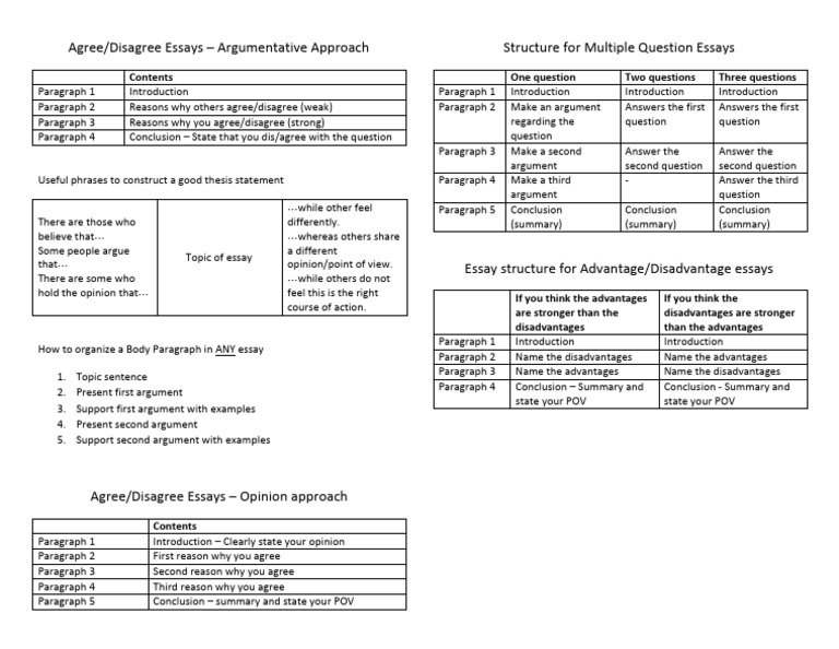 Independent Essay Handout | PDF | Essays | Argument