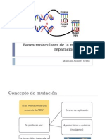 Mutacion y Reparacion