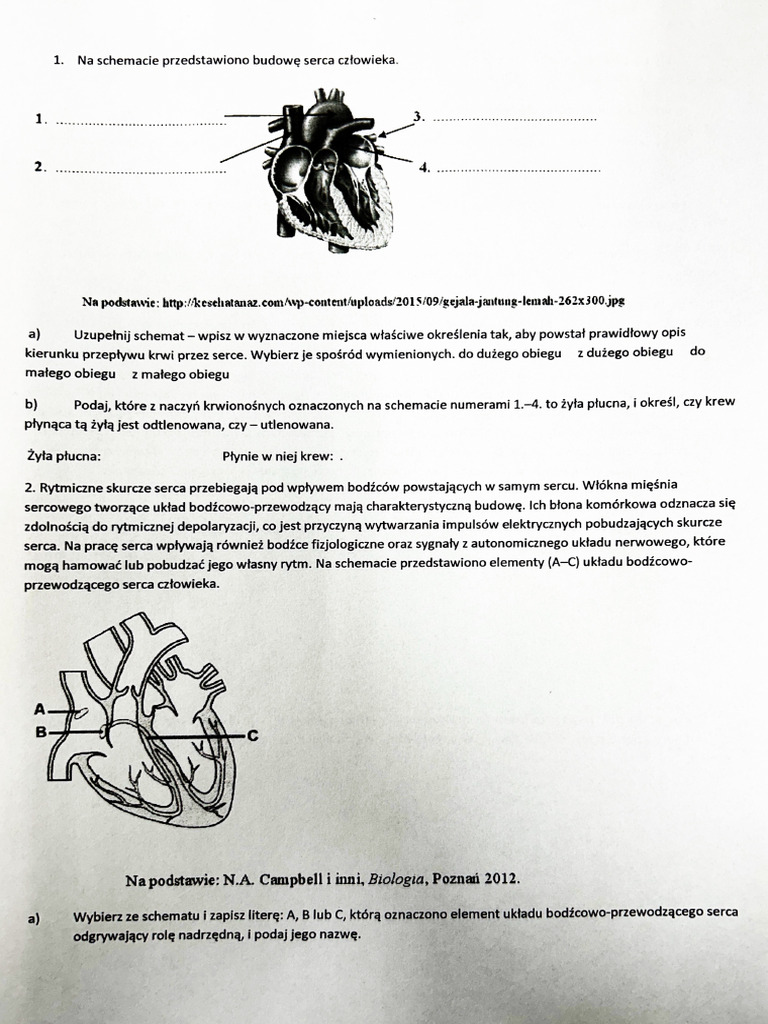 Feb 3, Doc 1 | PDF