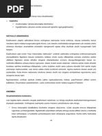 Uhlalutyo Lwenoveli - Inkawu Idliw'Ilila | PDF
