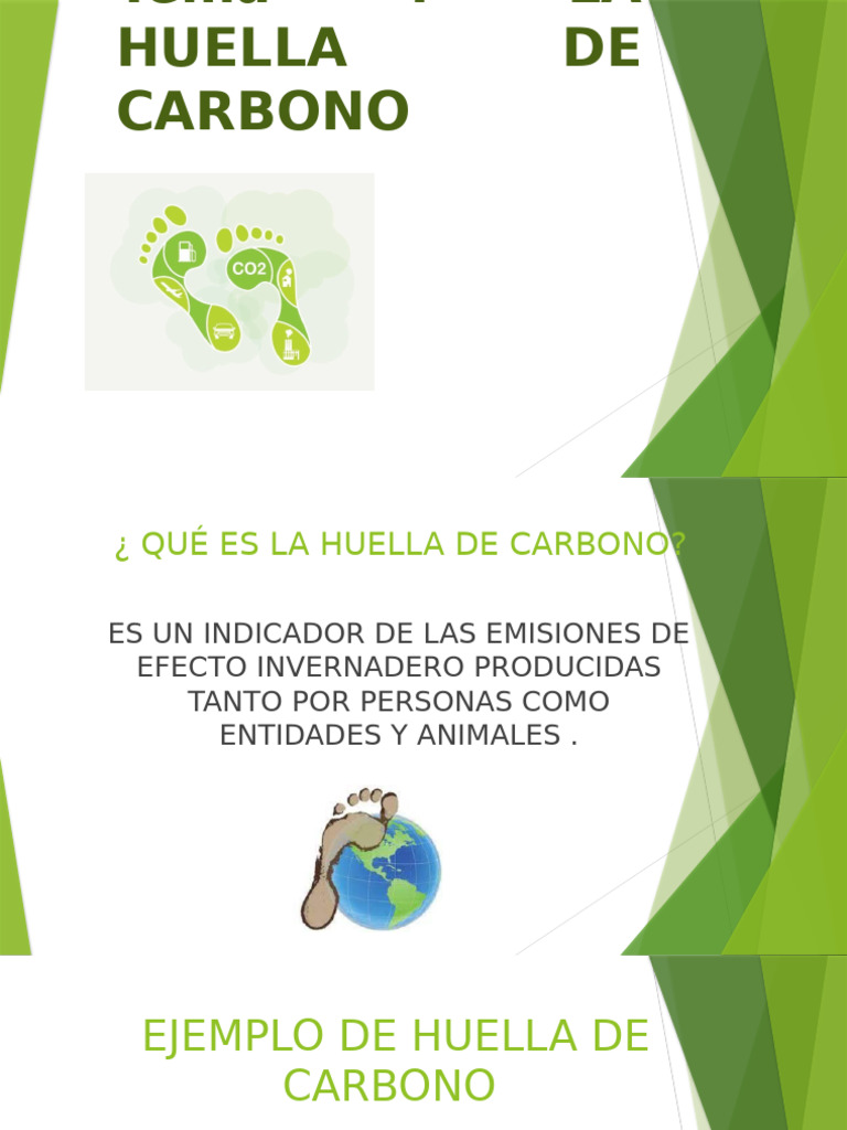 Proyectode Ciencias La Huella de Carbono | PDF | Gases de efecto ...