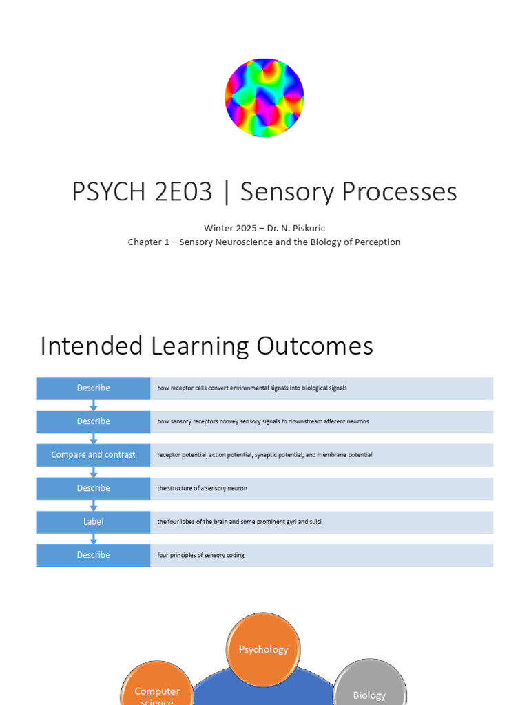 PSYCH 2E03 - Lecture 2 - The Biology of Perception | PDF | Chemical ...