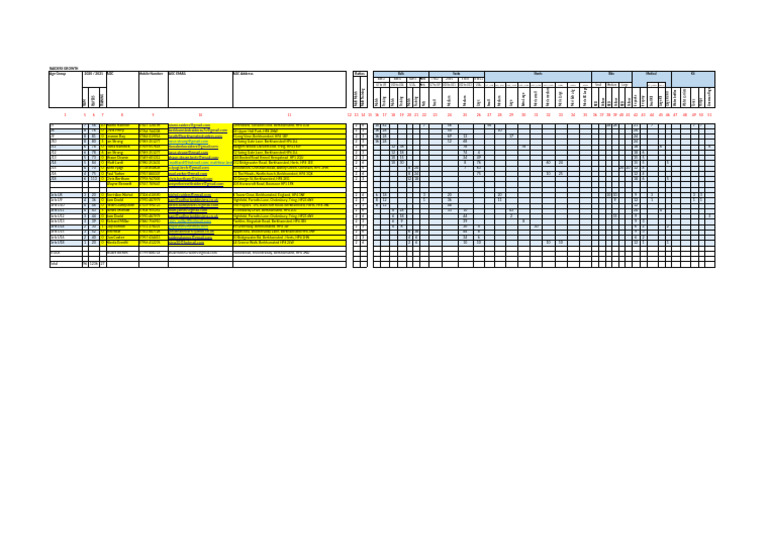 AGC Stock Order Input Sheet 2024 Current 14.08.2024 | PDF