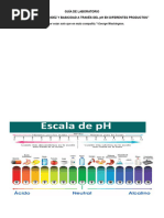 Guía: Indicador de pH con Repollo | PDF | Ácido | Sal (química)
