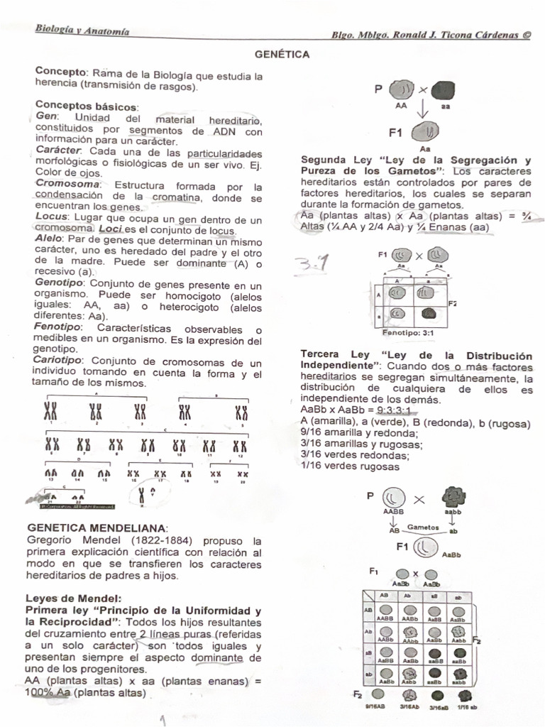 Genetic A | PDF