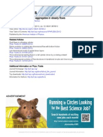 Dispersion of Ferrofluid Aggregates in Steady Flows: Related Articles