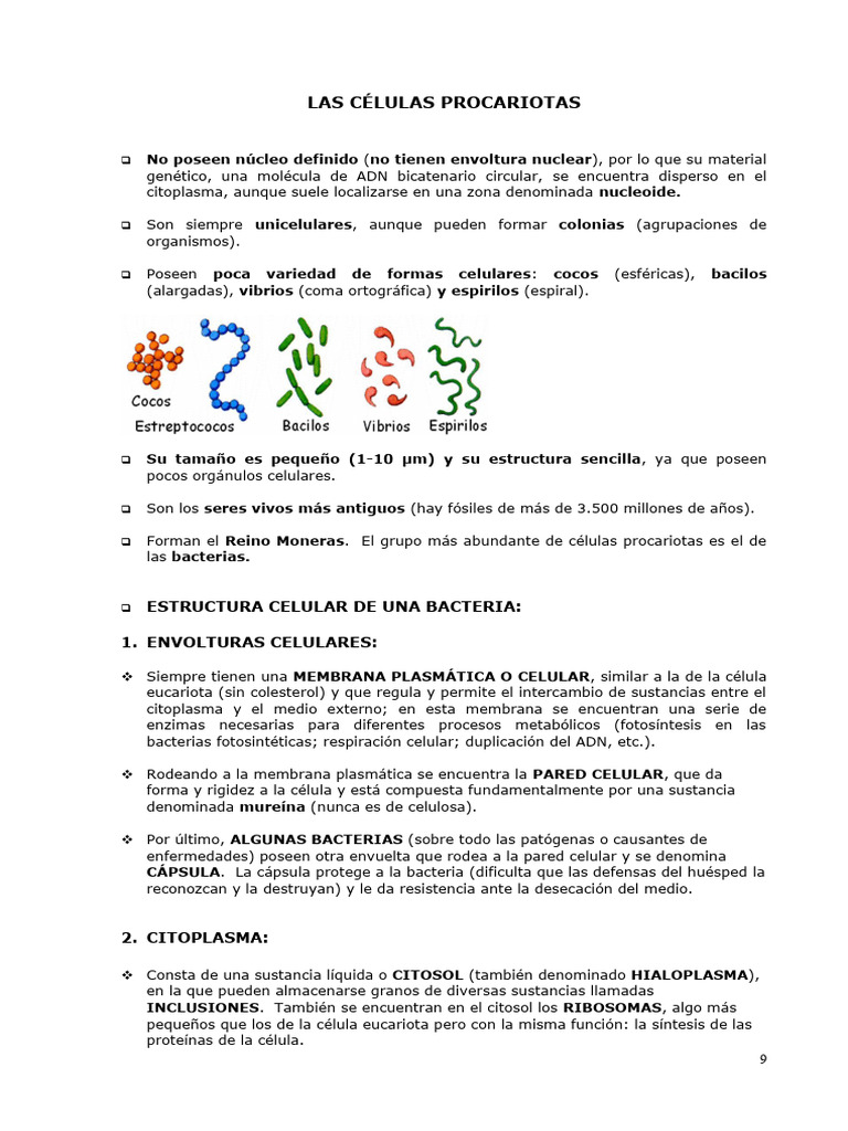 Introducción a las Células Procariotas | PDF | Biología Celular) | Las ...