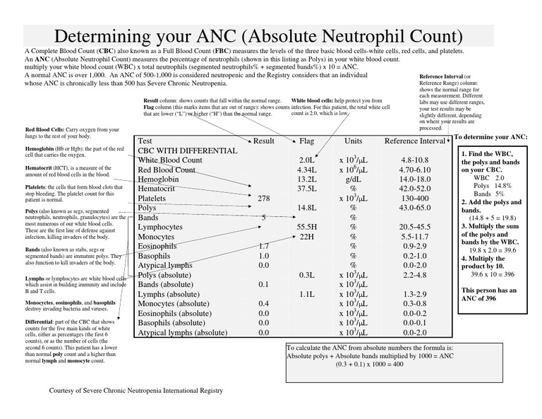 Determining Your Anc Absolute Neutrophil Count Pdf