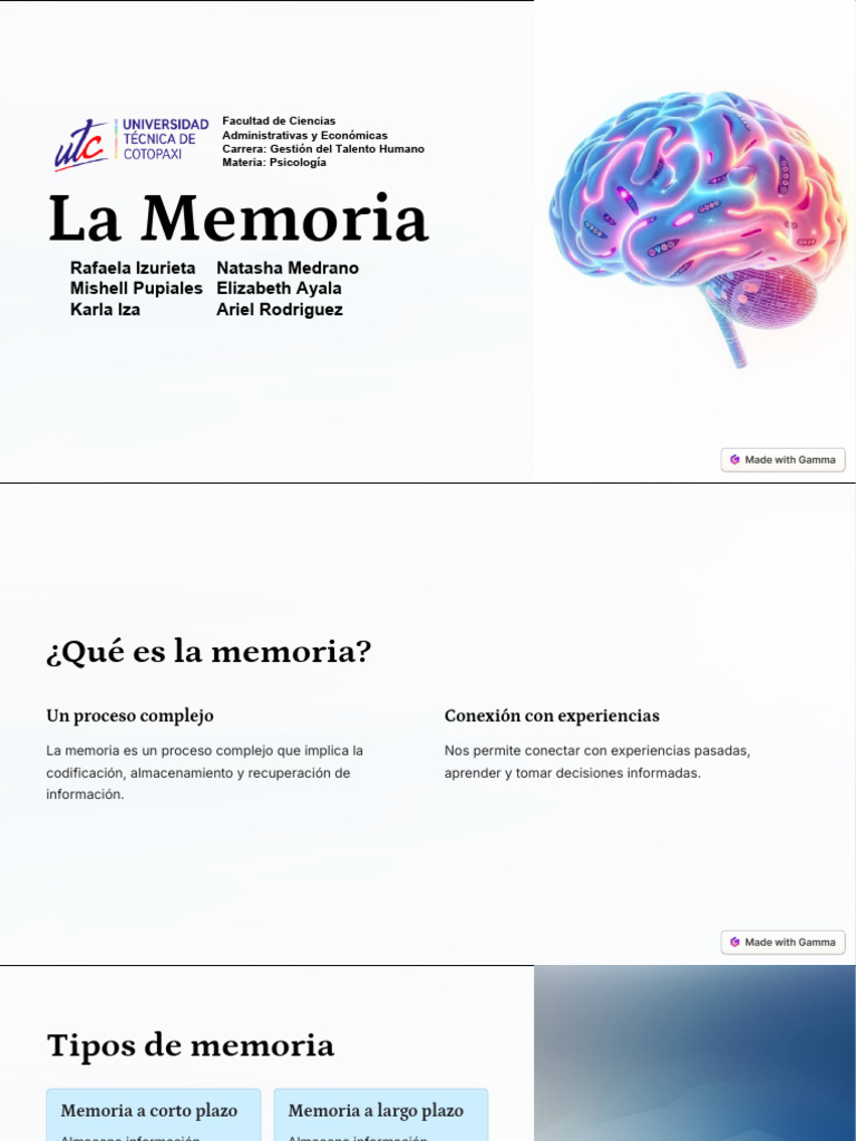 La Memoria 1 Pdf Memoria Amnesia