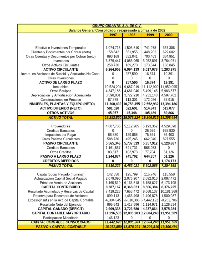 Balance General y Estado de Resultados 2002 | PDF