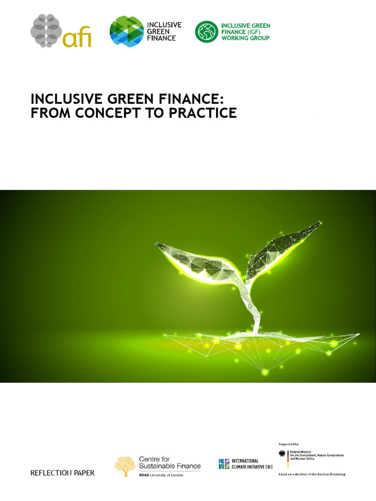 Inclusive Green Finance Strategies | PDF | Climate Resilience ...