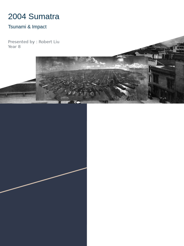 Sumatra intelligence overview