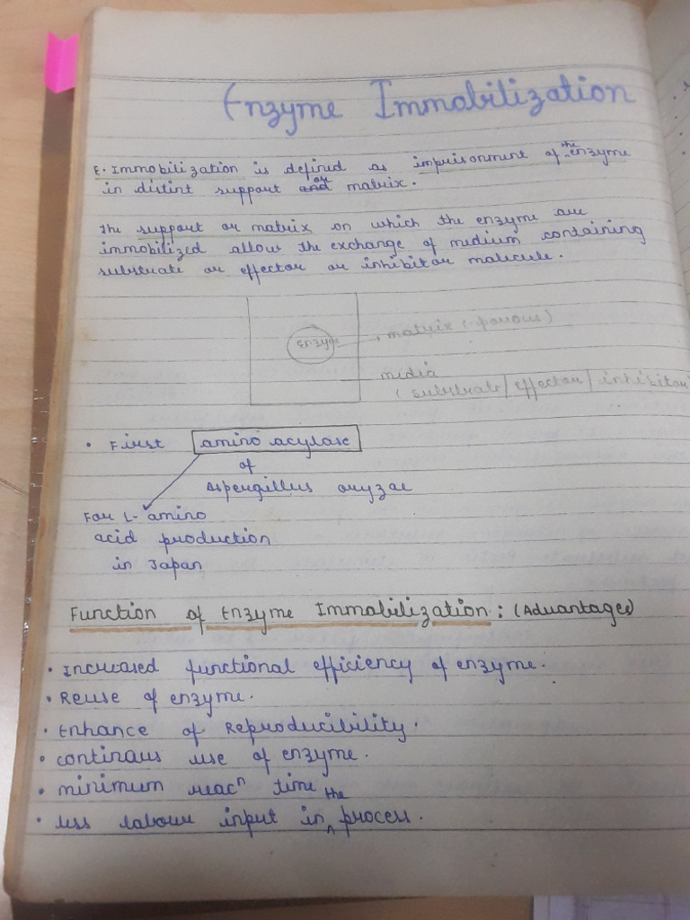 Enzyme Immobilization | PDF